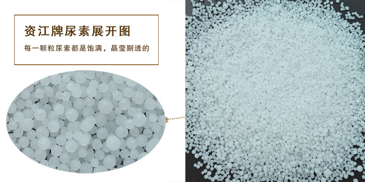 尿(niào)素生産廠家